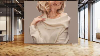 Elegant female model wearing in retro style outfit headed by sphinx cat head isolated on grey background. Comparison of art, surrealism, beauty and creativity Wall mural