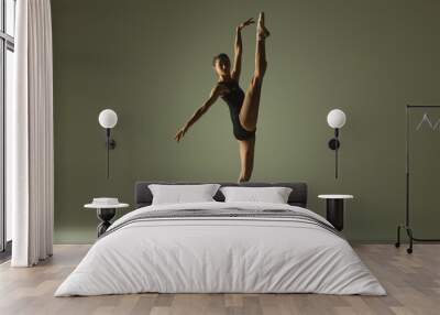 Graceful ballet dancer or classic ballerina dancing isolated on grey studio background. Showing flexibility and grace. The dance, artist, contemporary, movement, action and motion concept. Wall mural