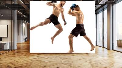 MMA. Two professional fighters punching, boxing isolated transparent background. Fit muscular caucasian athletes, boxers fighting. Sport, competition, excitement and strength Wall mural