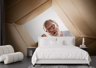 The surprised senior man unpacking, opening carton box and looking inside. The package, delivery, surprise, gift lifestyle concept. Human emotions and facial expressions concepts Wall mural