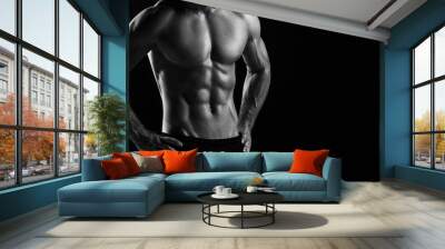 The torso of attractive male body builder on black background. Wall mural