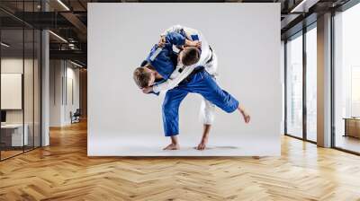 The two judokas fighters fighting men Wall mural