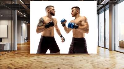 Two professional boxers boxing isolated on white studio background Wall mural