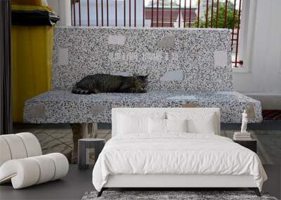 BANGKOK, THAILAND - APRIL 28, 2024: A gray tabby cat sleeps on a marble bench with yellow plastic trash cans in the morning with shadow of the sun shining background. Wall mural