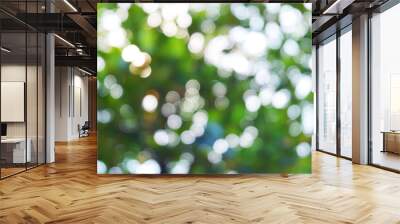 white bokeh blur background from under tree Wall mural