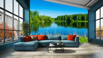 summer river or lake surrounded by young birch forest, clear bright blue sky, summertime sunny day panoramic landscape Wall mural