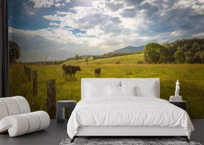 Australian rainforest mountains rural farming countryside landsc Wall mural