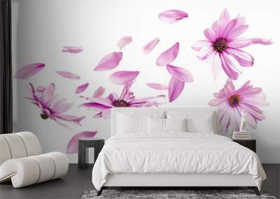 A bouquet of pink and purple flowers in full bloom flew isolated Wall mural