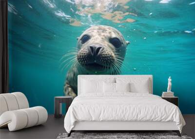 Funny sea lion swimming underwater in the ocean. Animal theme. Wall mural