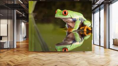 frog a nice wallpapper photo Wall mural