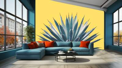 Black-Spined Agave Plant in Blue Tone Color Isolated on Yellow Background Wall mural