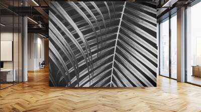 Tropical Palm Leaves in Black & White Wall mural