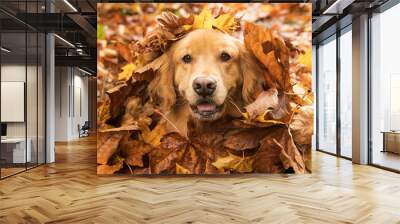 Golden Retriever Dog in a pile of Fall leaves Wall mural