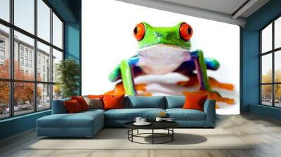 Red Eyed Tree Frog Wall mural