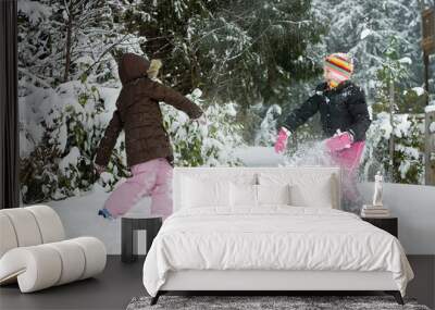 snowball fight Wall mural