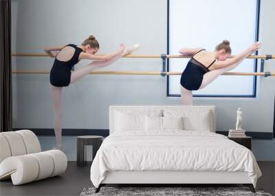 two young ballet dancers stretching on bar Wall mural