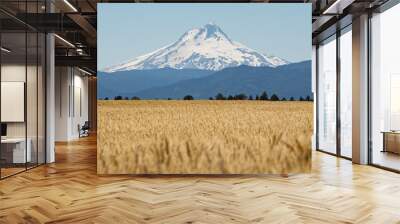 Wheat Field in front of Mt. Hood, Oregon Wall mural