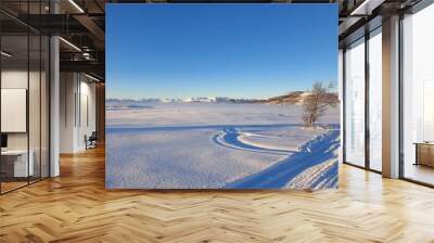 winter in the mountains Wall mural