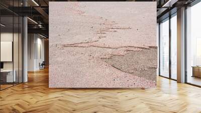 Pink beach of Elafonisi, Crete, detail of sand mixed with calcified shells of Foraminifera Wall mural