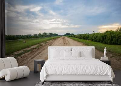 Straight dirt road on a green field, with clouds on the blue sky Wall mural