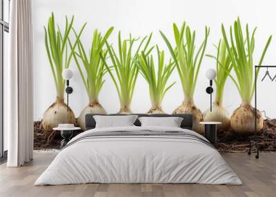 a row of onions with green leaves Wall mural