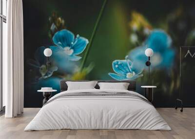 blue flower macro Wall mural