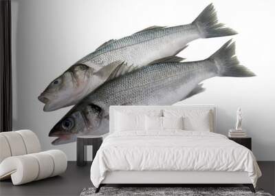 bass fishes Wall mural