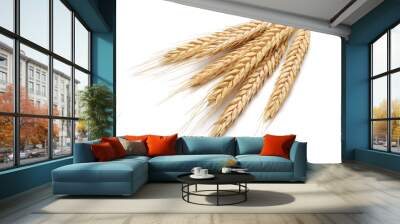 Bunch of yellow wheat ears isolated white background Wall mural