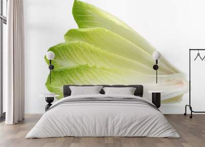 endive Wall mural