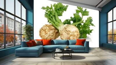 Fresh celeriac root with celery stalks isolated Wall mural