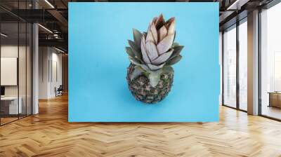 Pineapple on the blue background Wall mural