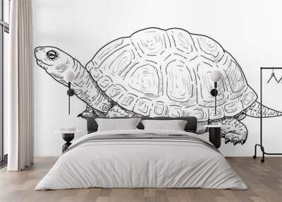 Drawing of European pond turtle. Sketch of reptile of species Emys orbicularis, black and white illustration Wall mural