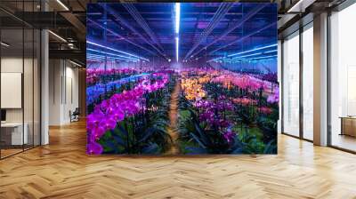 Colorful orchids thrive under bright LED lights in a well-maintained indoor greenhouse Wall mural