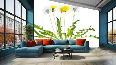 Side view of dandelion plant Wall mural