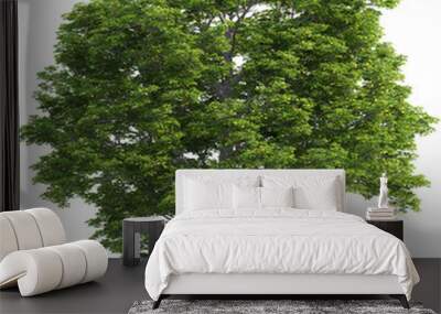 Side view of Quercus tree Wall mural