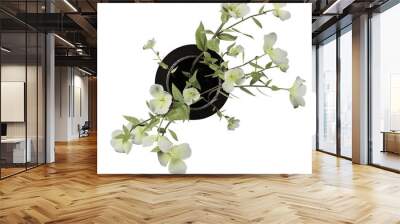 Top view of flower arrangement Wall mural