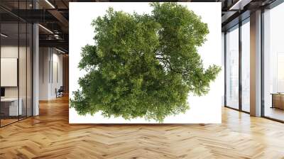 Top view of Oak Tree Wall mural