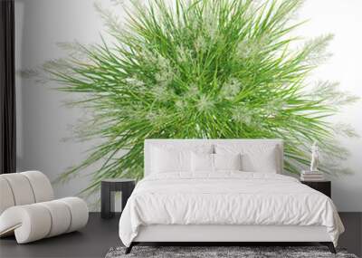 Top view of wild grass Wall mural