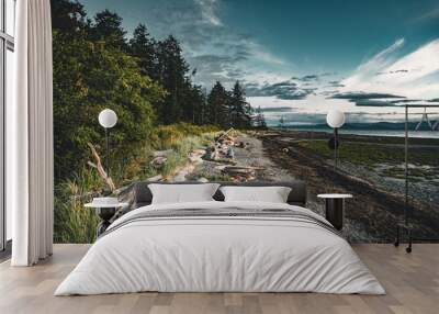 Driftwood and logs on a sandy beach on Vancouver Island with forest and blue sky in the backgorund. Wall mural