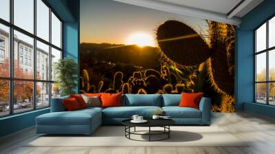 Cactus sunset in California Wall mural