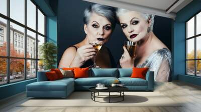 two mature women enjoying wine Wall mural