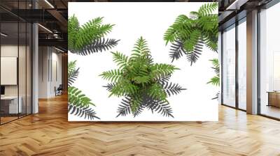 fern plant hq arch viz cutout Wall mural