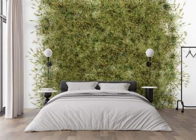 grass patch 7 summer Wall mural