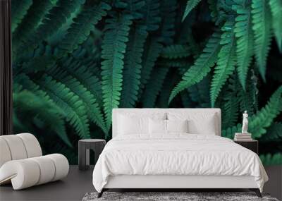 Perfect natural young fern leaves pattern background. Dark and moody feel. Top view. Copy space. Wall mural