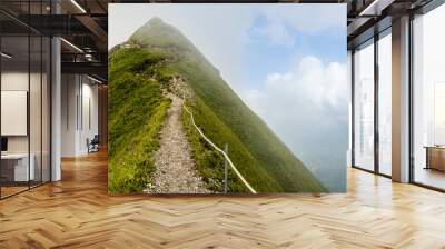 Gratwanderung im Nebel, Brienzer Rothorn, Schweiz Wall mural