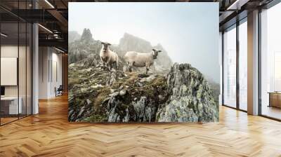 sheep in the mist on a mountain peak in the berner alps, grimsel, sidelhorn, switzerland Wall mural