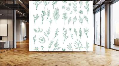 Floral doodle design elements. Hand drawn decorative leaves and wreaths. Flower ornament dividers. Tree branches with leaf and flowers. Wall mural