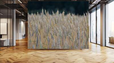 wheat in the wind Wall mural