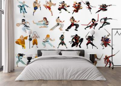 martial arts characters Wall mural