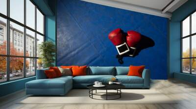 boxing gloves in ring Wall mural